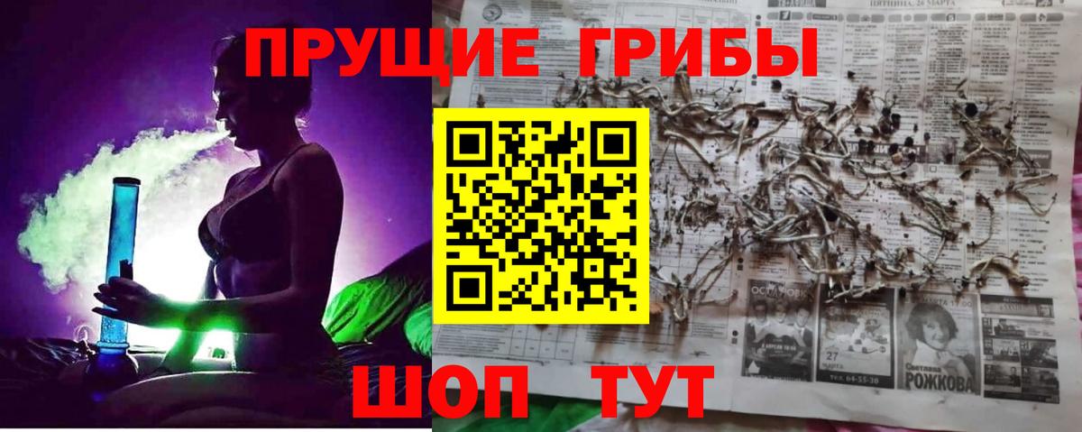 Псилоцибиновые грибы ЛСД  наркота  Вход с VPN  Минусинск  Псилоцибиновые грибы ЛСД 