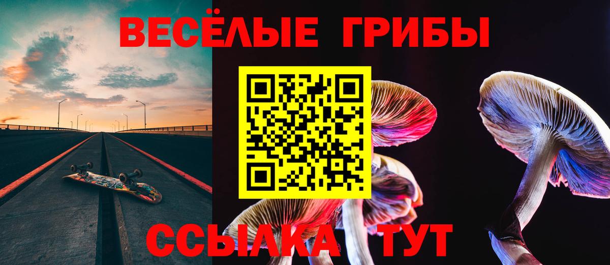 Галлюциногенные грибы MAGIC MUSHROOMS Минусинск